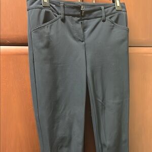 Theory navy skinny stretch pants